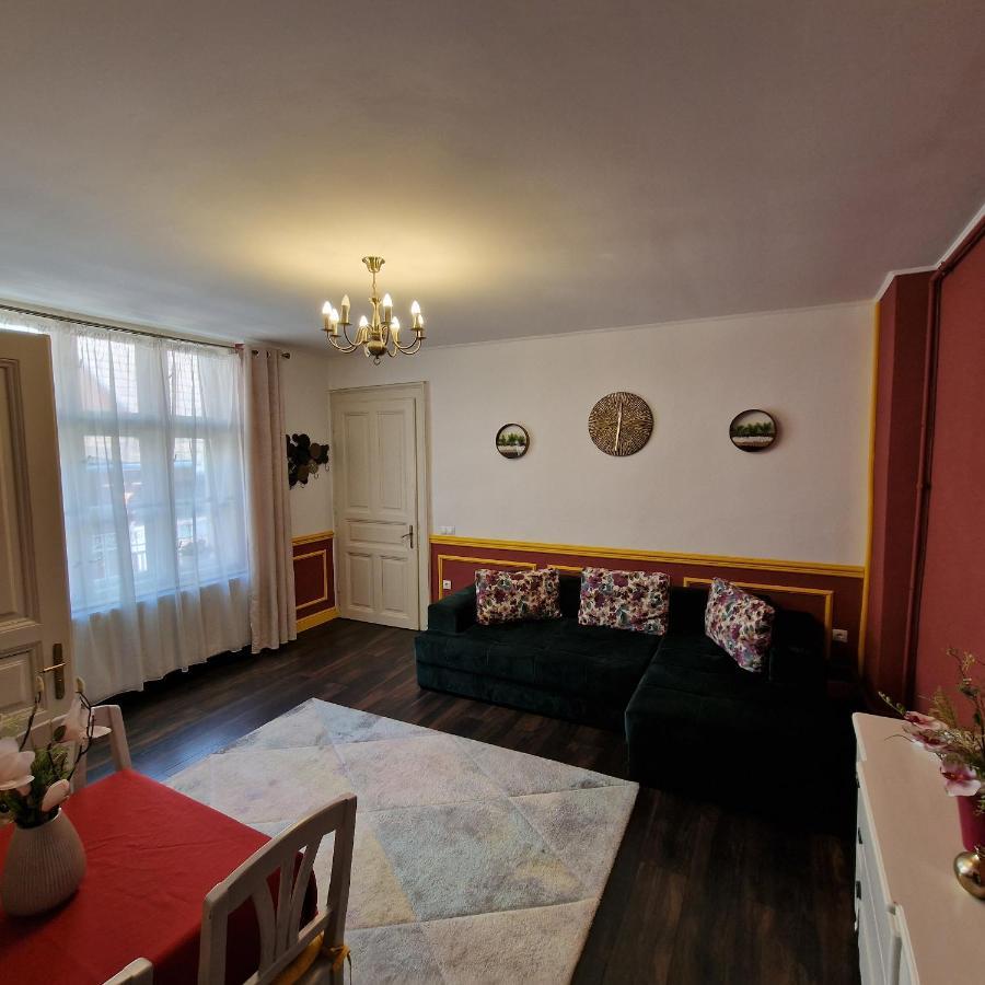 Central Park Apartment Sighişoara Eksteriør billede